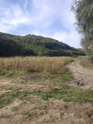 Vand Teren Viile Dejului  - imagine 5