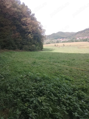 Vand Teren Viile Dejului  - imagine 7