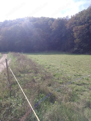 Vand Teren Viile Dejului  - imagine 4