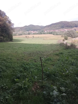 Vand Teren Viile Dejului  - imagine 6