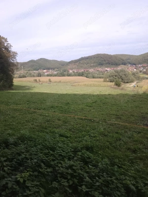 Vand Teren Viile Dejului  - imagine 9