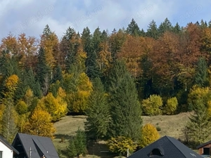 Teren de vânzare în Voroneț  - imagine 2