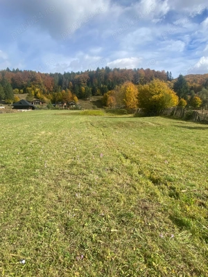 Teren de vânzare în Voroneț