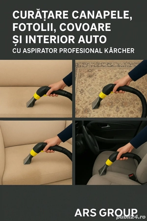 Curatare profesionala de tapizerii