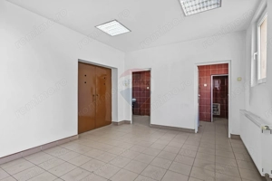 Cladire unica cu destinatii multiple de vanzare Ultracentral Arad - imagine 9