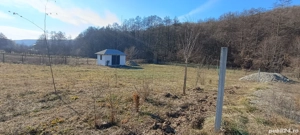 Vand teren cu anexa, Budeasa Mica - imagine 4 Vand teren cu anexa, Budeasa Mica - imagine 4