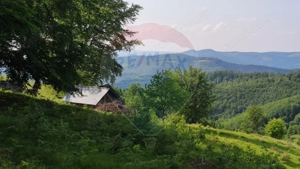 Teren 130000 mp extravilan, faneata si padure, Munteni - Bulz, Negreni - imagine 20