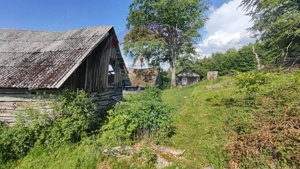 Teren 130000 mp extravilan, faneata si padure, Munteni - Bulz, Negreni - imagine 19