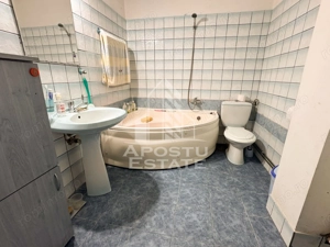 Casa individuala, 4 camere, 2600mp teren, Barcea Mare in Hunedoara - imagine 15