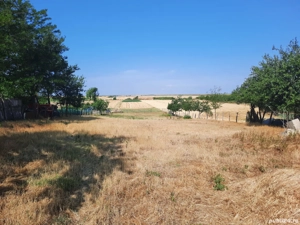 colaborare în diverse afaceri - imagine 10