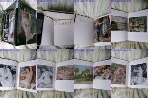 Renoir album de arta rar