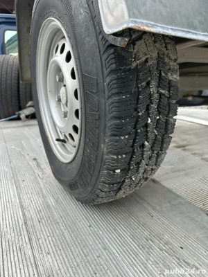 remorcă  cal , 1 cal , animale - imagine 5