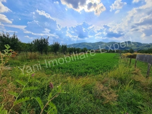 Teren de vânzare în comuna Corbeni, județ Argeș. - imagine 5