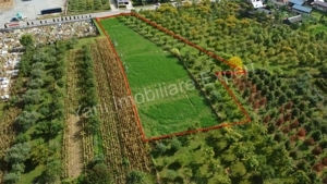 Teren de vânzare în comuna Corbeni, județ Argeș. - imagine 8