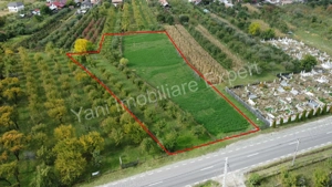 Teren de vânzare în comuna Corbeni, județ Argeș. - imagine 10