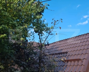 Oportunitate AirBnb!Casă individuală 65mp în GRUIA! - imagine 9