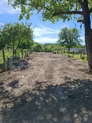 Casă bătrânească la stradă, Podari-Livezi, teren 822 mp - imagine 4