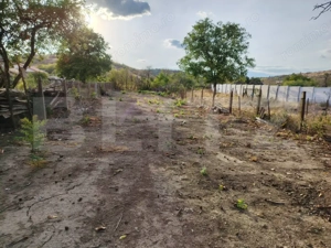 Casă bătrânească la stradă, Podari-Livezi, teren 822 mp - imagine 3