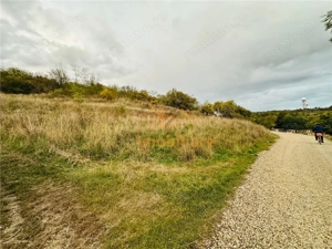 TEREN INTRAVILAN, 950 MP, ZONA PALEU, STRADA PADURII - imagine 2