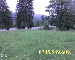 Vand teren intravilan langa Sinaia, deschidere la DN71 la altitudine 1000 m. (COTA 1000) - imagine 2