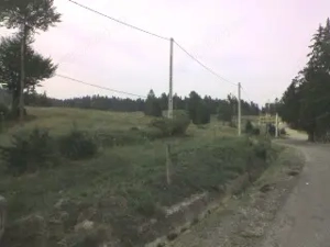 Vand teren intravilan langa Sinaia, deschidere la DN71 la altitudine 1000 m. (COTA 1000) - imagine 3
