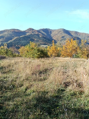 Teren intravilan Asau, Bacau - imagine 2