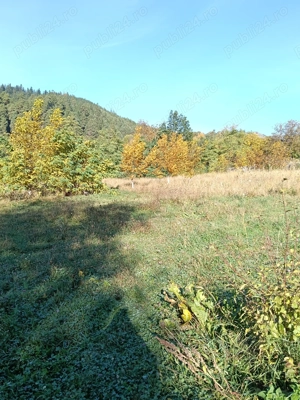 Teren intravilan Asau, Bacau