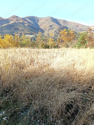 Teren intravilan Asau, Bacau - imagine 4