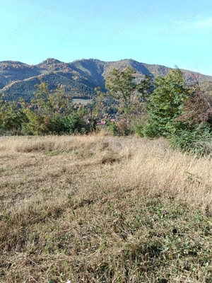 Teren intravilan Asau, Bacau - imagine 3