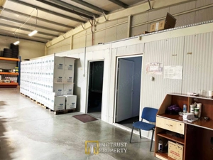 Hala de inchiriat – 440 mp | Arad, Micalaca | Acces DN7 și A1 - imagine 5