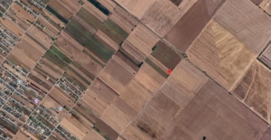 Teren Extravilan In Rate Primaverii Com. Berceni | 10.000mp | #EG51 - imagine 3