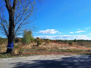 TEREN INTRAVILAN ȘI EXTRAVILAN BAIA DE FIER