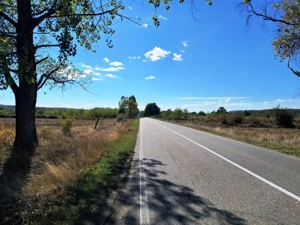 TEREN INTRAVILAN ȘI EXTRAVILAN BAIA DE FIER - imagine 8