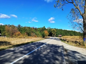 TEREN INTRAVILAN ȘI EXTRAVILAN BAIA DE FIER - imagine 9