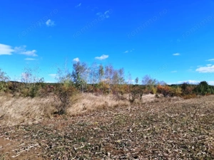 TEREN INTRAVILAN ȘI EXTRAVILAN BAIA DE FIER - imagine 4