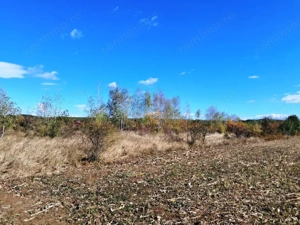 TEREN INTRAVILAN ȘI EXTRAVILAN BAIA DE FIER - imagine 7