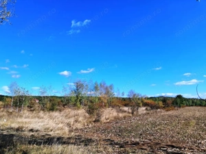 TEREN INTRAVILAN ȘI EXTRAVILAN BAIA DE FIER - imagine 5