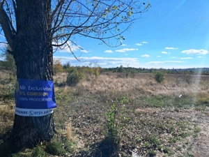 TEREN INTRAVILAN ȘI EXTRAVILAN BAIA DE FIER - imagine 2