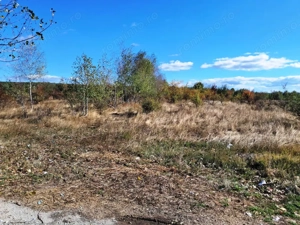 TEREN INTRAVILAN ȘI EXTRAVILAN BAIA DE FIER - imagine 6