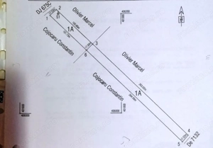TEREN INTRAVILAN ȘI EXTRAVILAN BAIA DE FIER - imagine 10