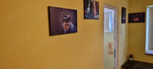 Garsoniera regim hotelier berceni Brâncoveanu metroul  - imagine 2 Garsoniera regim hotelier berceni Brâncoveanu metroul  - imagine 2