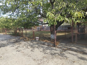 CASA SI TEREN-posibilitate de extindere pana la 2500 mp Str Valeni Ploiesti - imagine 8