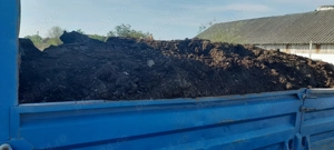 De vânzare mranita de oaie