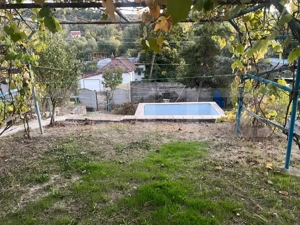 Casa cu piscina P+M, 1.368 mp teren,  Leamna de Sus - imagine 2