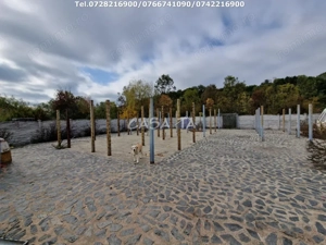 Teren Intravilan (498 mp),situat în Botorogi - Danesti - imagine 9