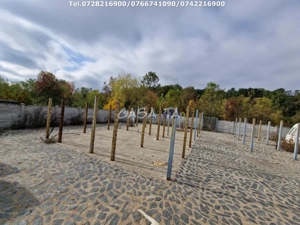Teren Intravilan (498 mp),situat în Botorogi - Danesti - imagine 10