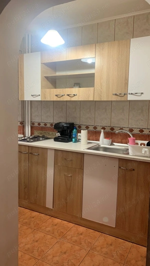 Garsoniera de vanzare (Costin Georgian) - imagine 5