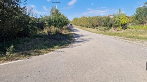 De inchiriat hala + teren Izvin- 326 - imagine 6