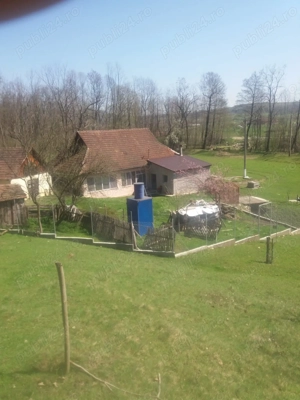 Casă cu teren foarte mare in Hălmagiu