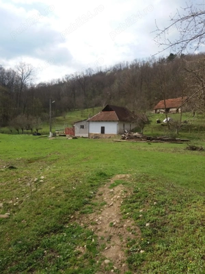 Casă cu teren foarte mare in Hălmagiu - imagine 5